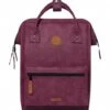 Cabaïa Adventurer Medium Delhi Delhi -Beroemde Bagage Winkel CAB237UCYQ 1 600
