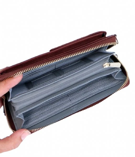 Robuste Cacao 7 Robuste Cacao - Afbeelding 5